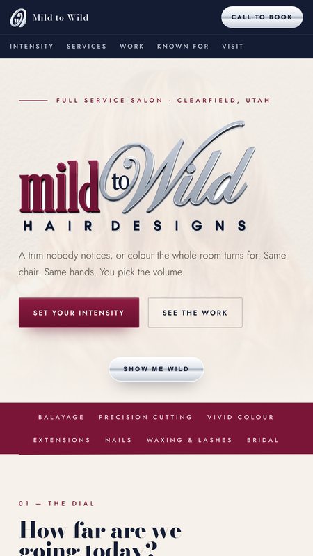 Mild to Wild Hair Designs concept website on a phone, split between its light and dark hero