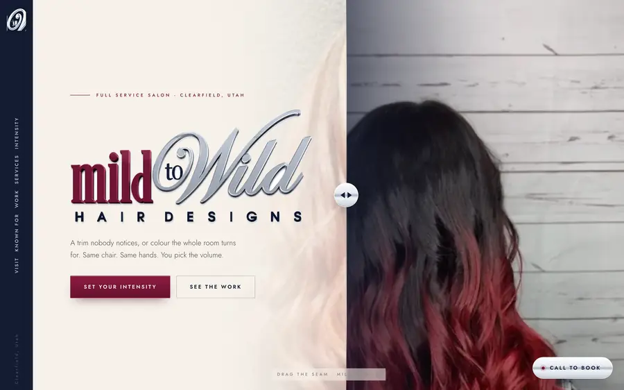Mild to Wild Hair Designs on a laptop
